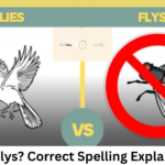 Flies or Flys? Correct Spelling Explained Fast