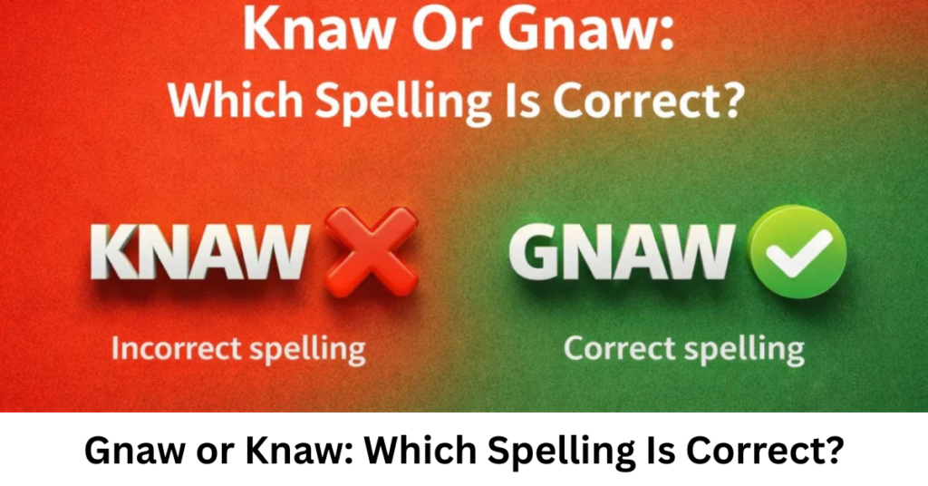 Gnaw or Knaw: Which Spelling Is Correct?