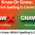 Gnaw or Knaw: Which Spelling Is Correct?