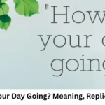 How’s Your Day Going? Meaning, Replies & Tips