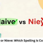 Naive or Nieve: Which Spelling Is Correct?