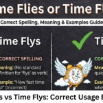 Time Flies vs Time Flys: Correct Usage Explained