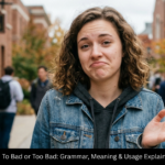 To Bad or Too Bad: Grammar, Meaning & Usage Explained