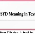 What Does SYD Mean in Text? Full Guide
