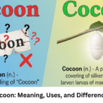 cacoon or cocoon: Meaning, Uses, and Differences Explained