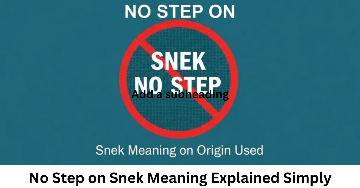 No Step on Snek Meaning Explained Simply