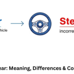 Steer vs Stear: Meaning, Differences & Correct Usage