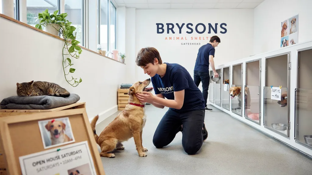 Brysons Animal Shelter: Caring for Pets in Need